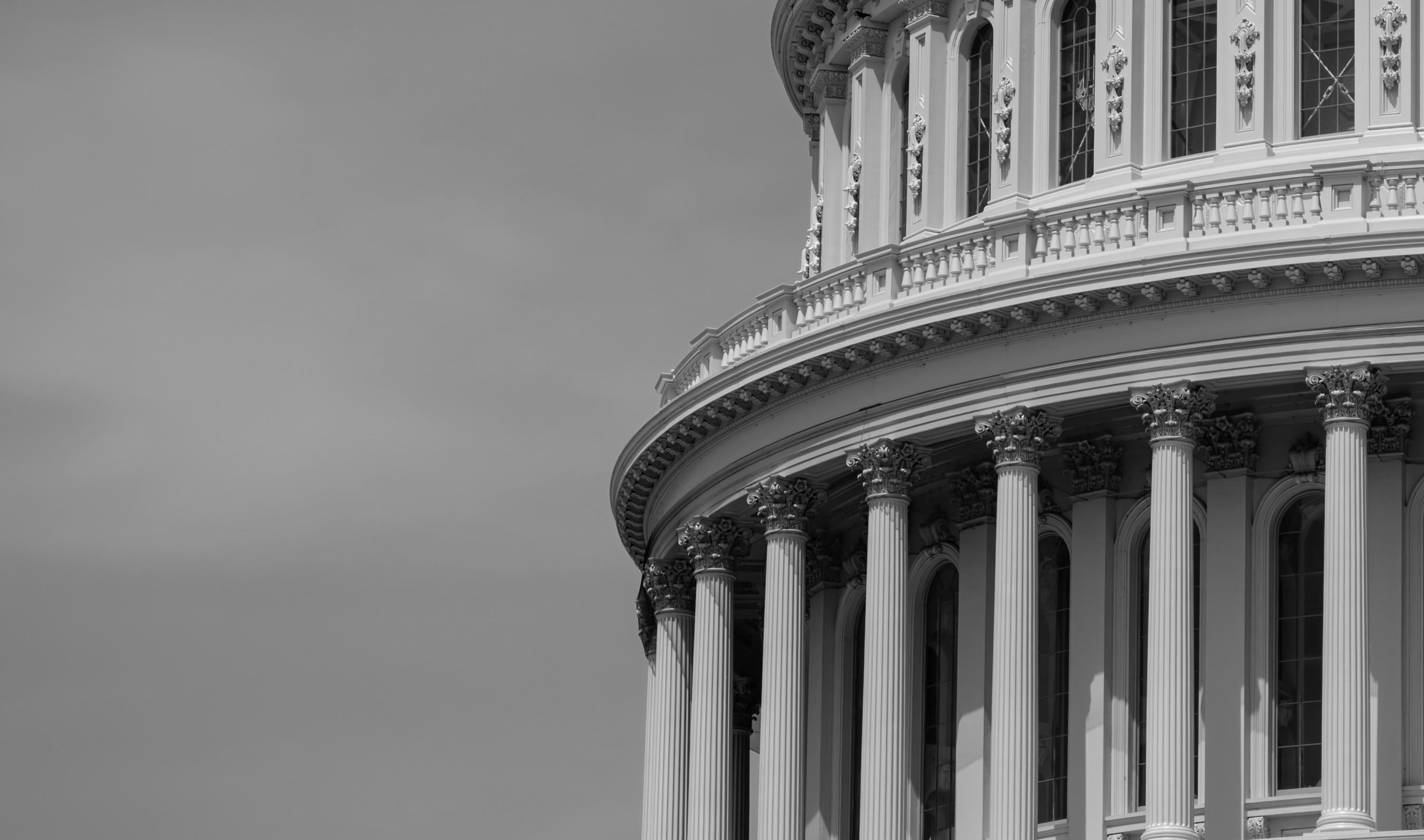 TSP public sector IT services and IT talent solutions